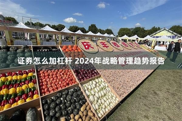 证券怎么加杠杆 2024年战略管理趋势报告