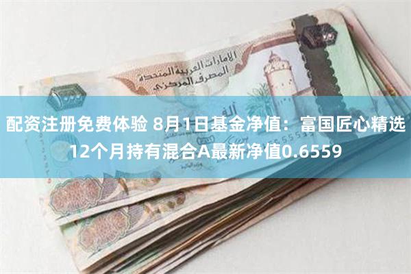 配资注册免费体验 8月1日基金净值：富国匠心精选12个月持有混合A最新净值0.6559