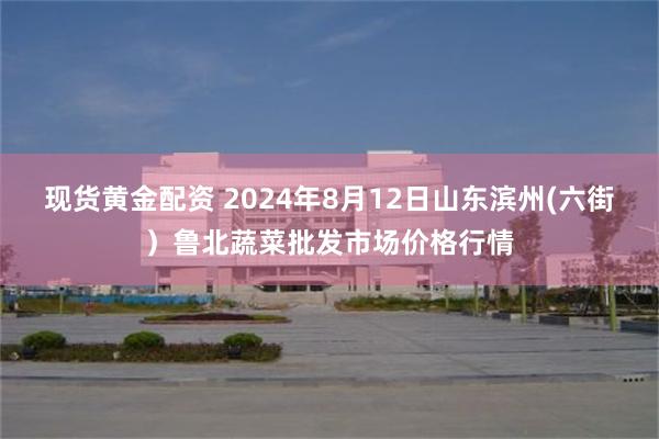 现货黄金配资 2024年8月12日山东滨州(六街）鲁北蔬菜批发市场价格行情