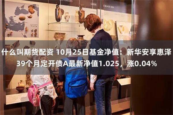 什么叫期货配资 10月25日基金净值：新华安享惠泽39个月定开债A最新净值1.025，涨0.04%