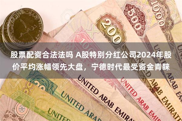 股票配资合法法吗 A股特别分红公司2024年股价平均涨幅领先大盘，宁德时代最受资金青睐