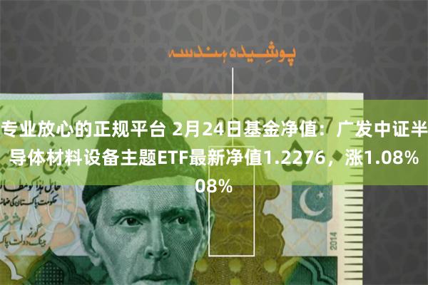 专业放心的正规平台 2月24日基金净值：广发中证半导体材料设备主题ETF最新净值1.2276，涨1.08%