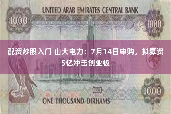 配资炒股入门 山大电力:7月14日申购,拟募资5亿冲击创业板
