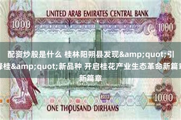 配资炒股是什么 桂林阳朔县发现&quot;引蜂桂&quot;新品种 开启桂花产业生态革命新篇章